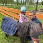 Kucyk czeka na kolejnego odważnego przedszkolaka.
